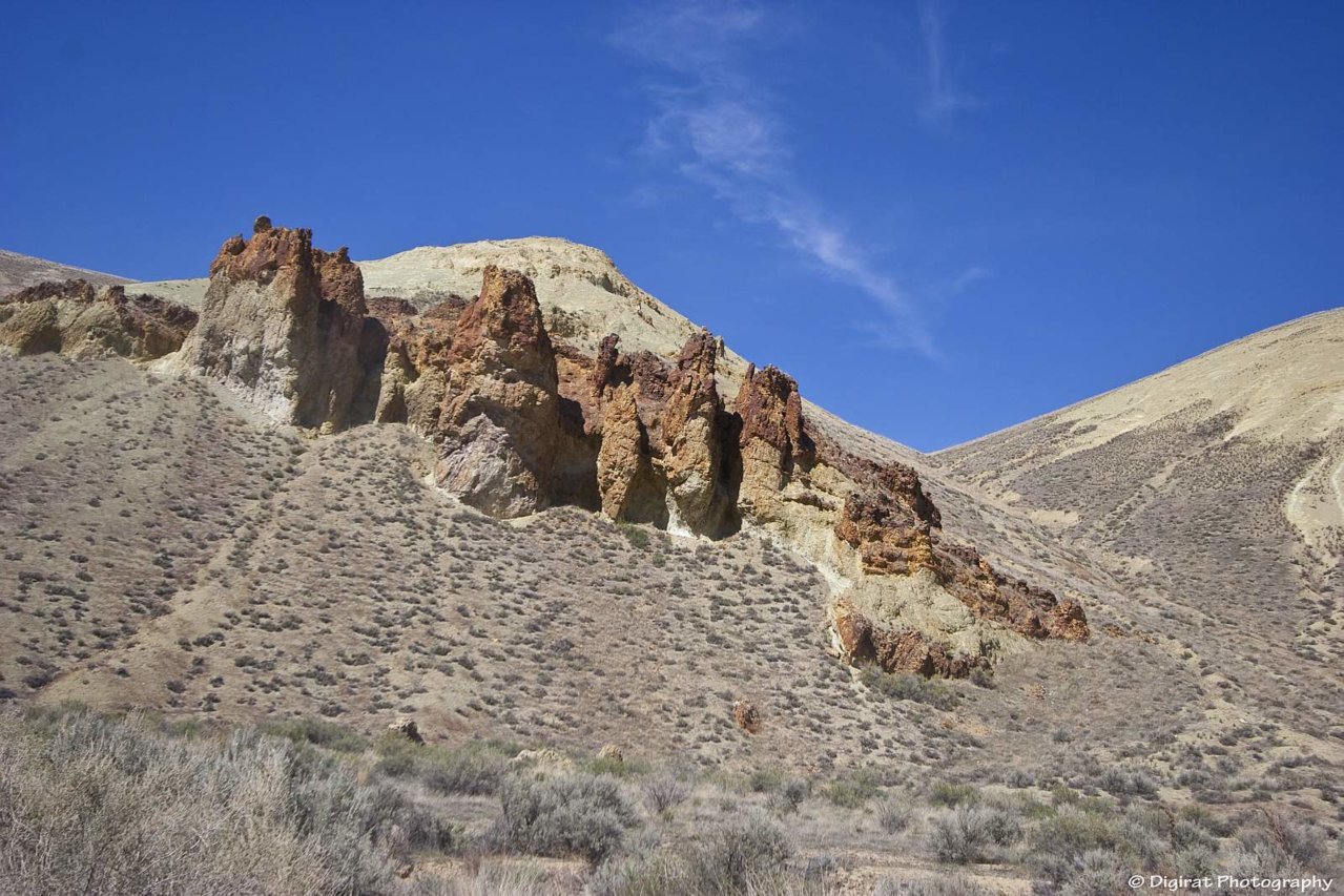 _MG_9341.jpg