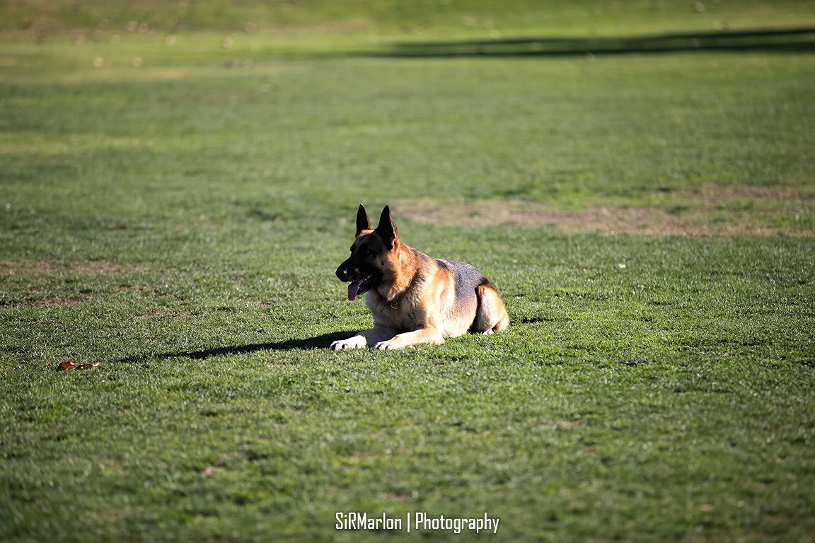 _MG_9404_f288ff3791e0688830a92bd657aa839d69833e70.jpg