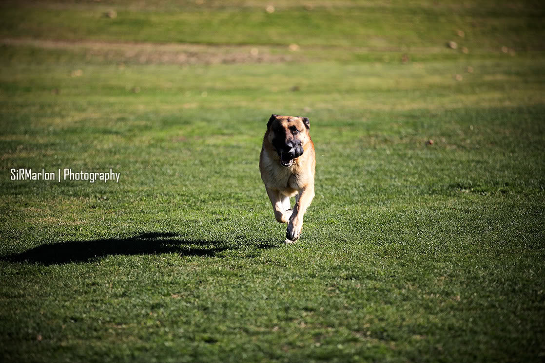 _MG_9445_3815f326199f951994cad23e5b280e6add6df279.jpg