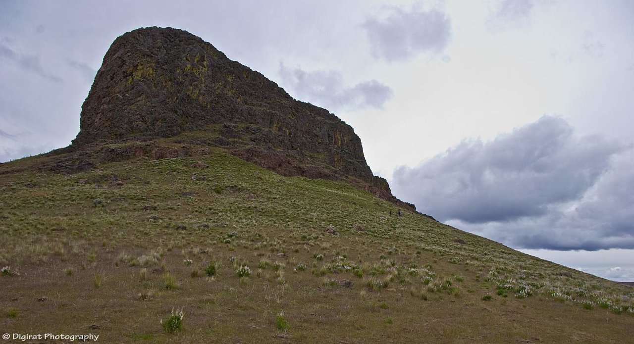 _MG_9537.jpg