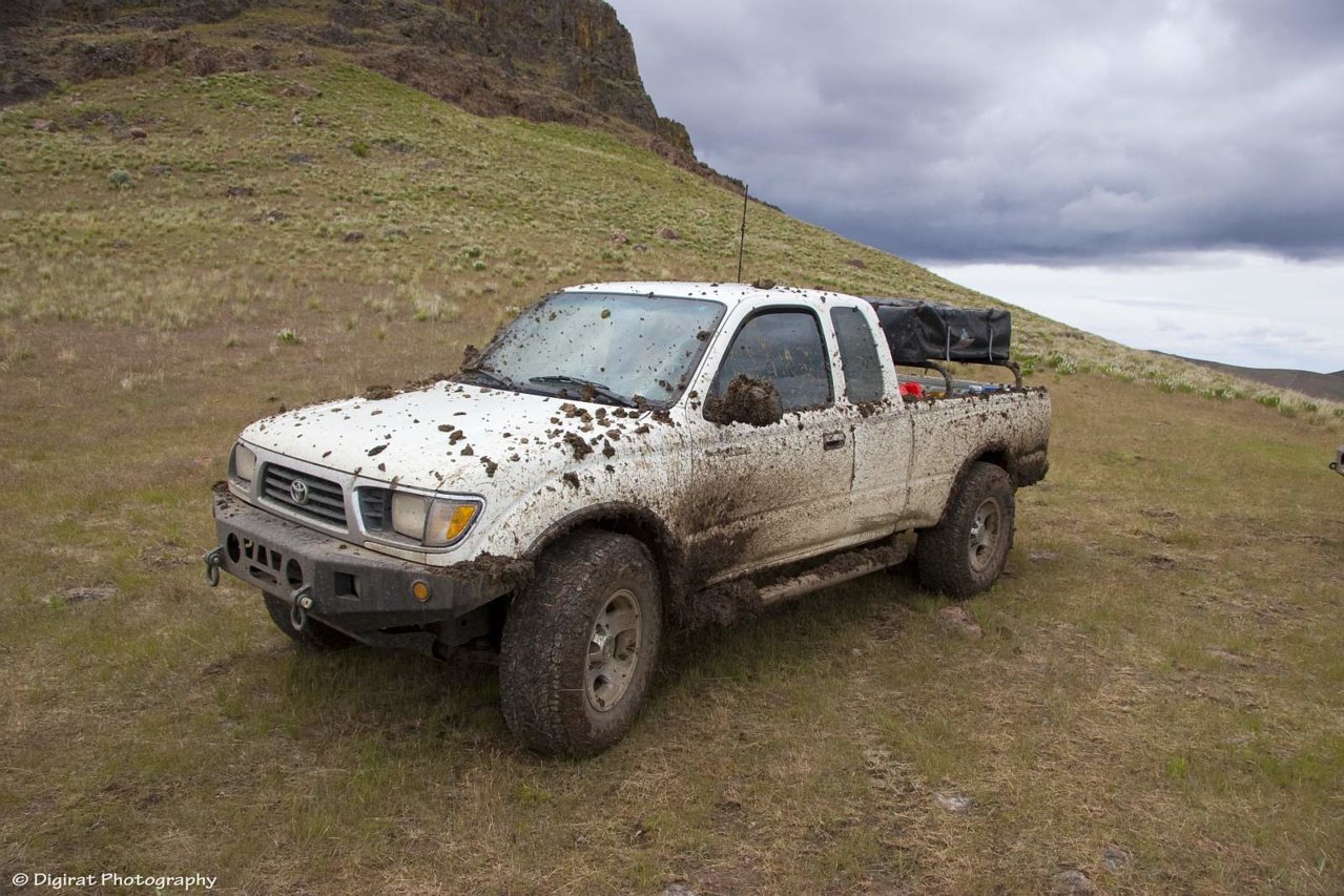 _MG_9575.jpg