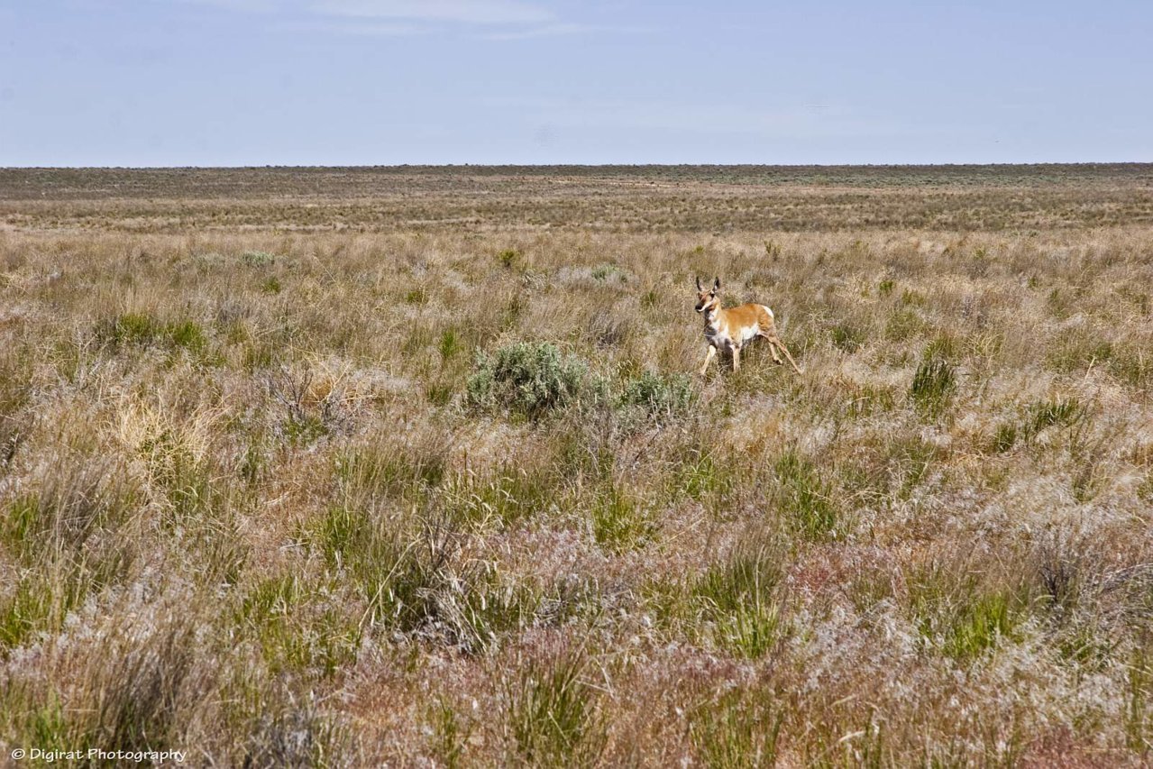 _MG_9726.jpg
