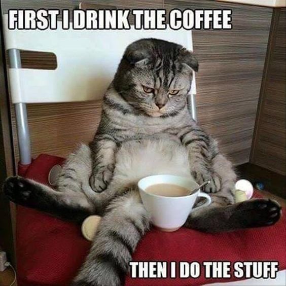 a-cat-sitting-next-to-a-cup-of-coffee-description-1.jpg