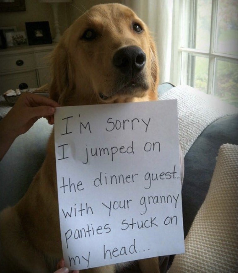 a granny.jpg