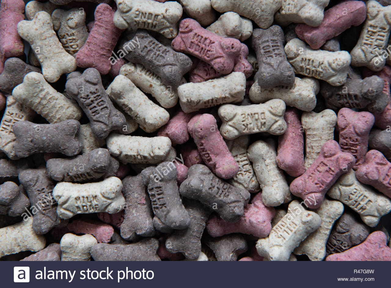 a-large-pile-of-milk-bone-minis-flavor-snacks-a-5-calorie-snack-for-dogs-R47G8W.jpg