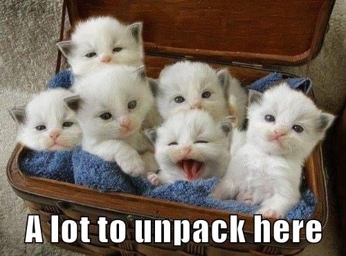 a-lot-to-unpack-here.jpg