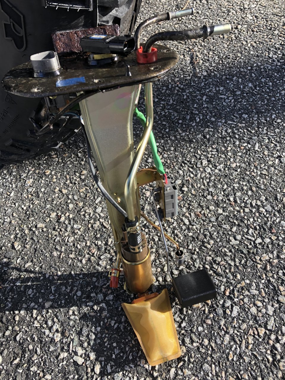 A044ECF6-0B0F-495C-AF84-BBF662EAAE49.jpg
