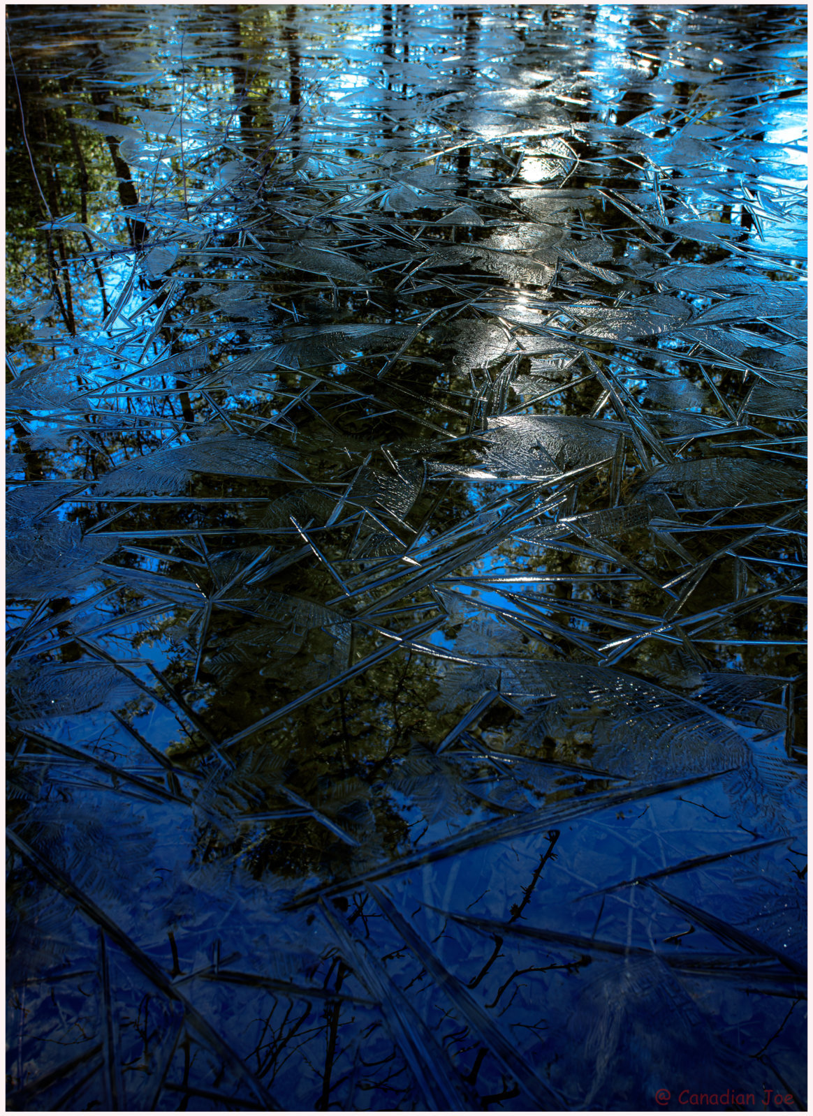 A04I8886-Enhanced-NR-Edit.jpg