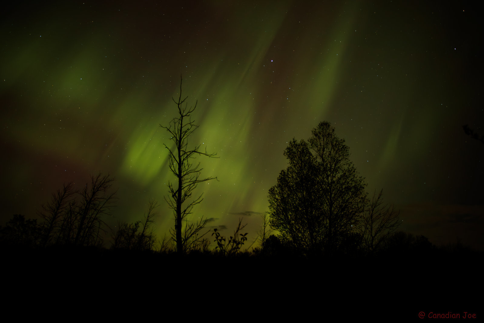 A04I9788-Enhanced-NR.jpg
