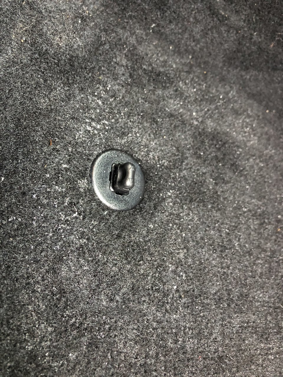 A05CA02A-5BCC-410D-87E8-BD294E13DBAB.jpg