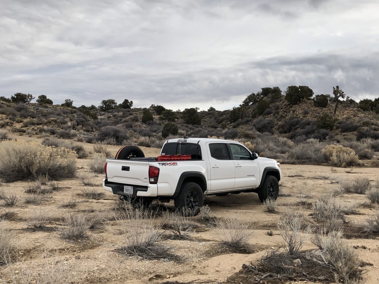 A06F250E-DDB7-4DC1-B238-F41899BD2A3C.jpg