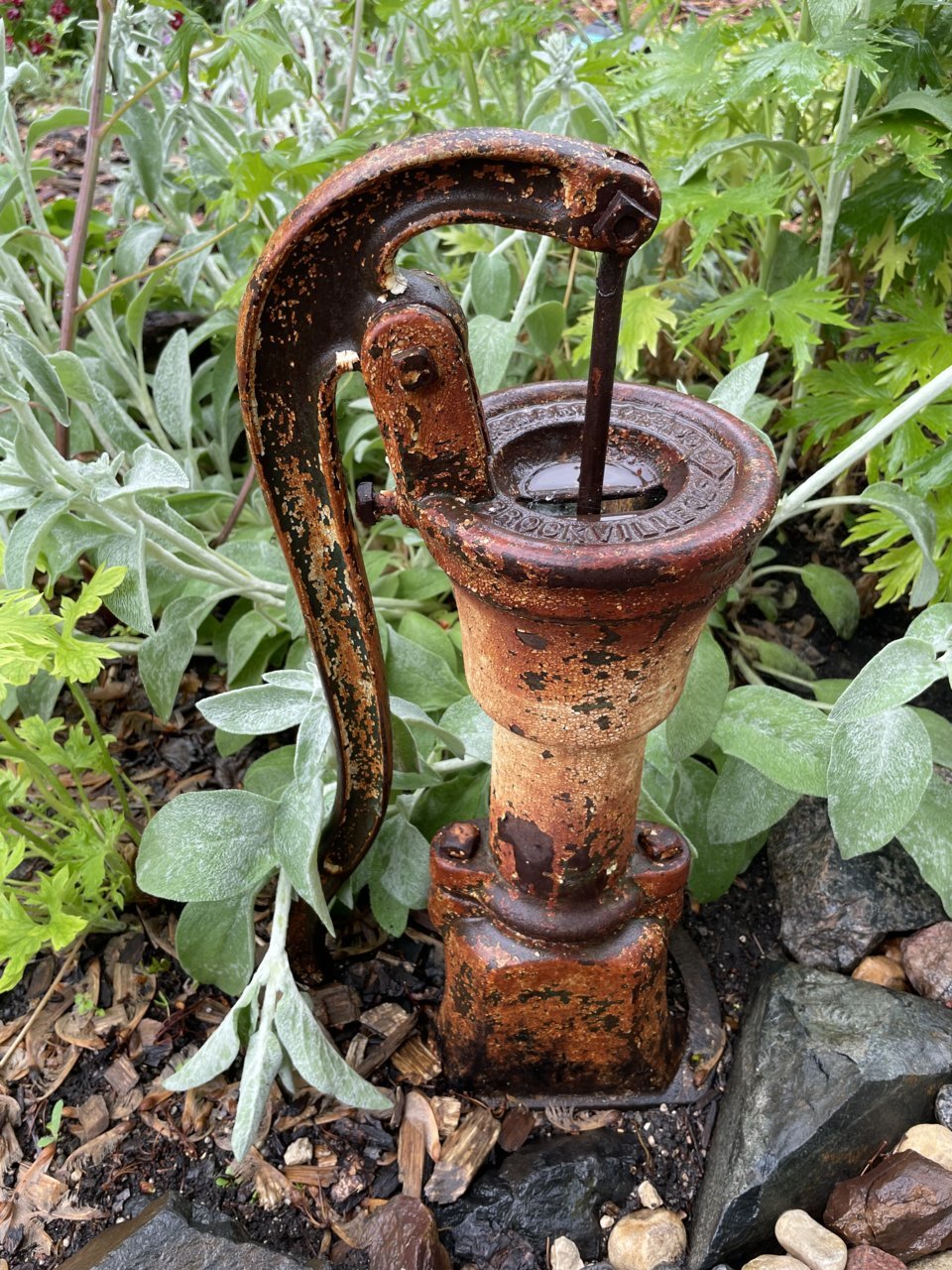 A09FF8D4-0E1A-49B6-A861-EC990E5EA9A4.jpg