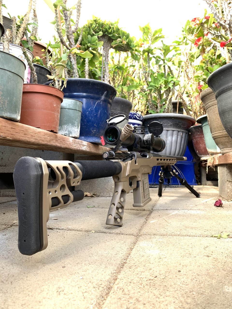 A0BB9BBC-5EC0-4115-B449-EEB7C927D09E.jpg