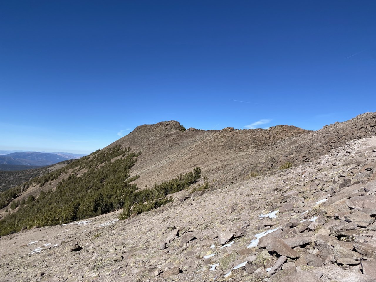 A0D11D49-24E7-4C8E-AE93-2B82B22D41E6.jpg