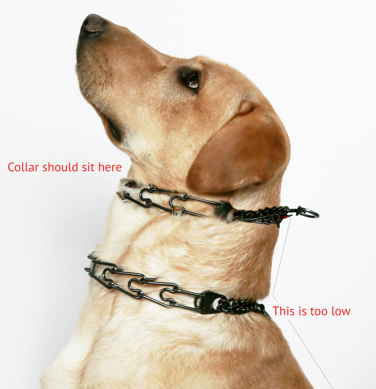 A107A6B0-8795-4FEE-AF4D-CFA184D91BE1.jpg