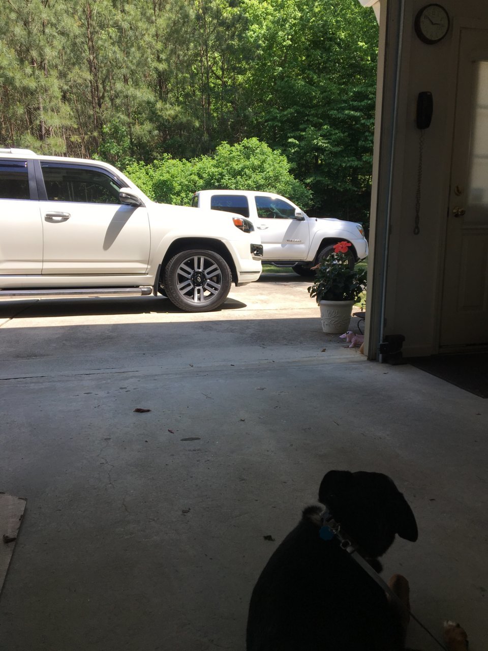A141CC54-8D56-49ED-BCF8-3451BD7F7B98.jpg