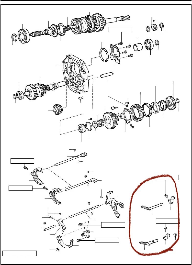A17FA9C8-5DCE-4F03-B754-49FD8E29A9EE.jpg
