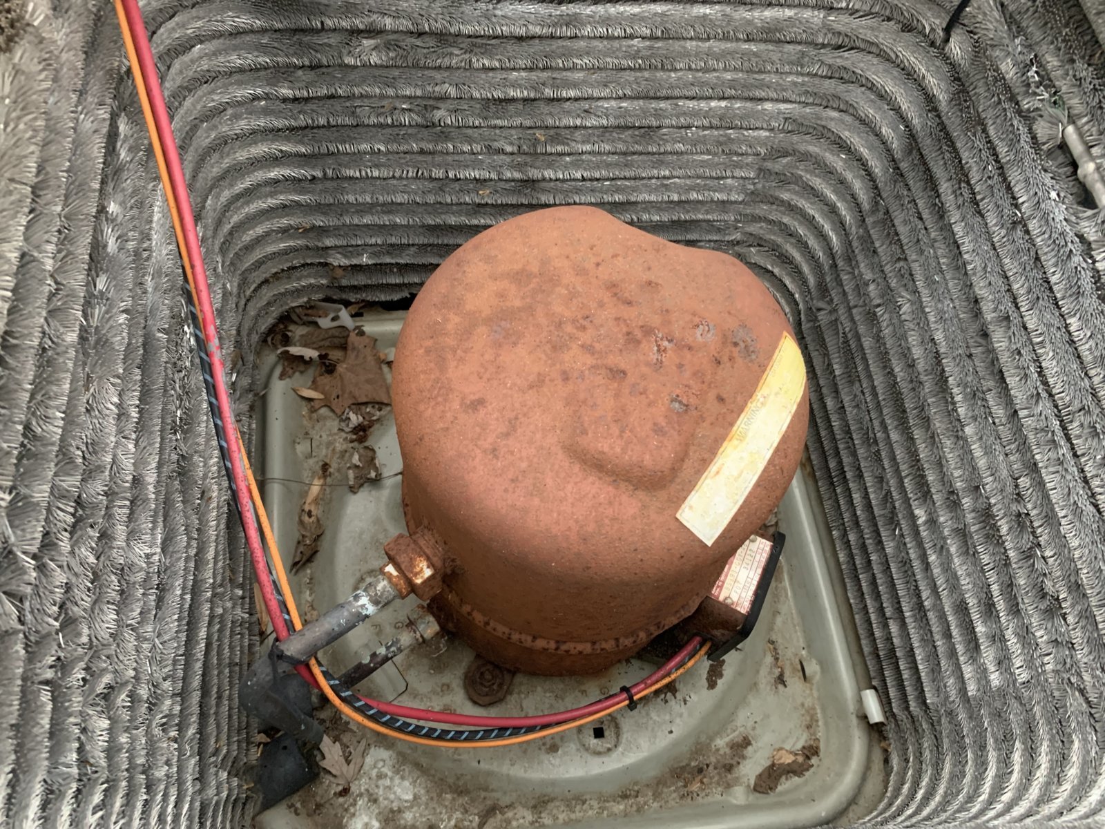 A1A9BB10-B61F-4FD5-ADFA-6B4DCAD55EA5.jpg