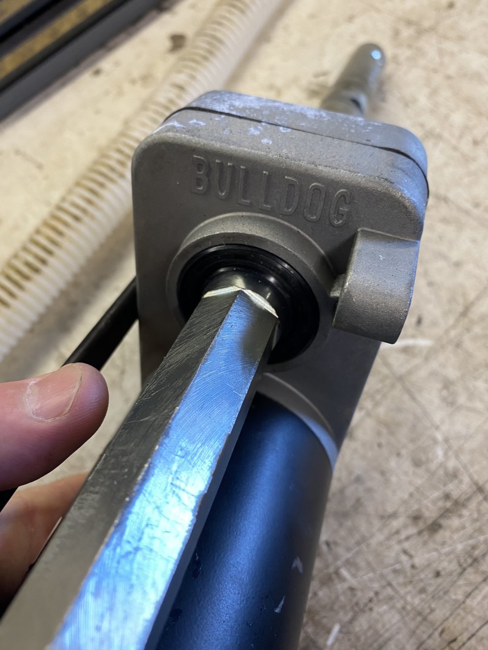 A1BE77BB-20DD-4829-A079-DF7866DB59F9.jpg