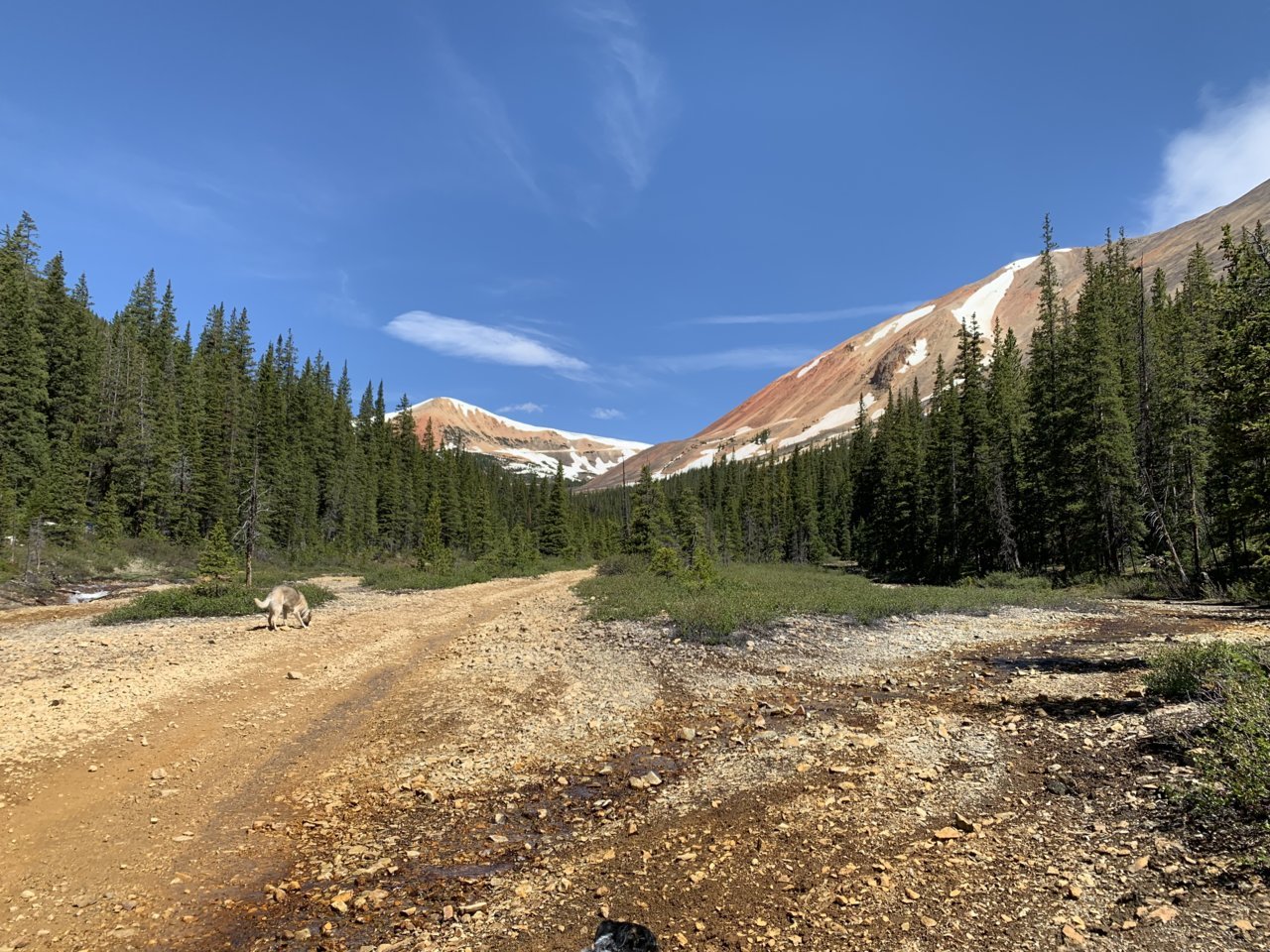 A23525E2-49CA-413A-B7D4-BB669E68D68B.jpg