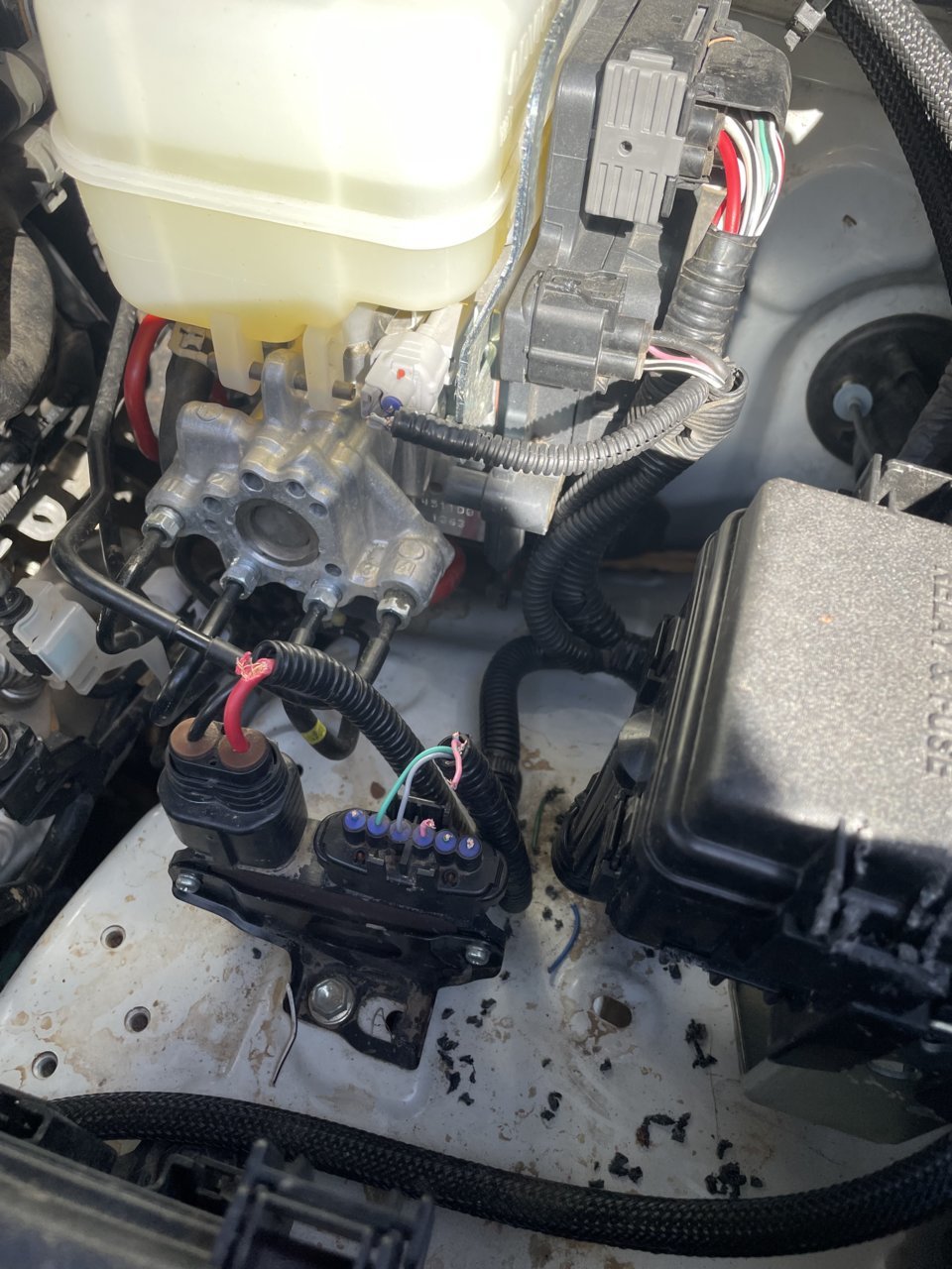 A25EACEB-59E6-43A1-90A4-80DA4433E152.jpg