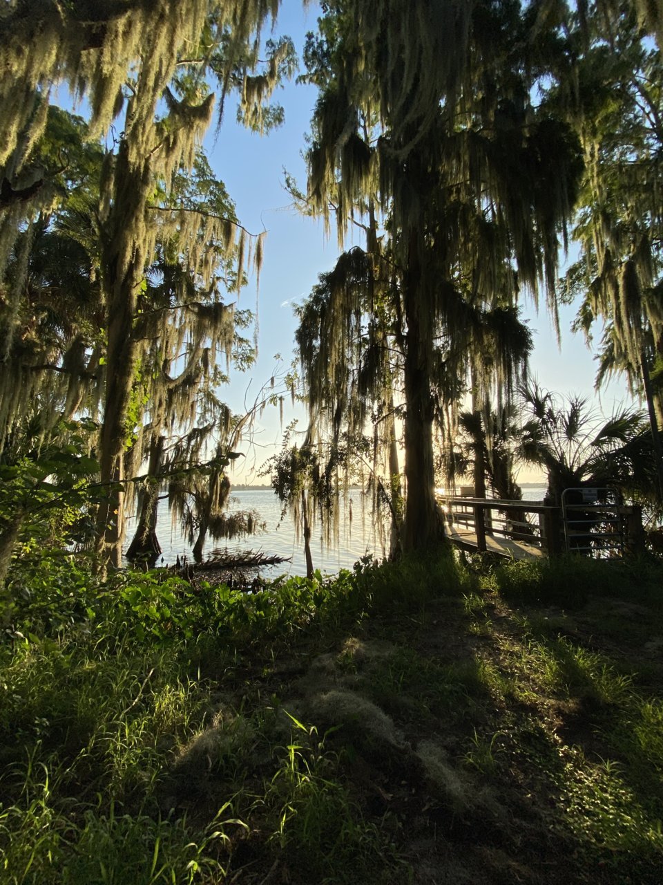 A263AA73-7F74-469D-B855-7128A8E86167.jpg