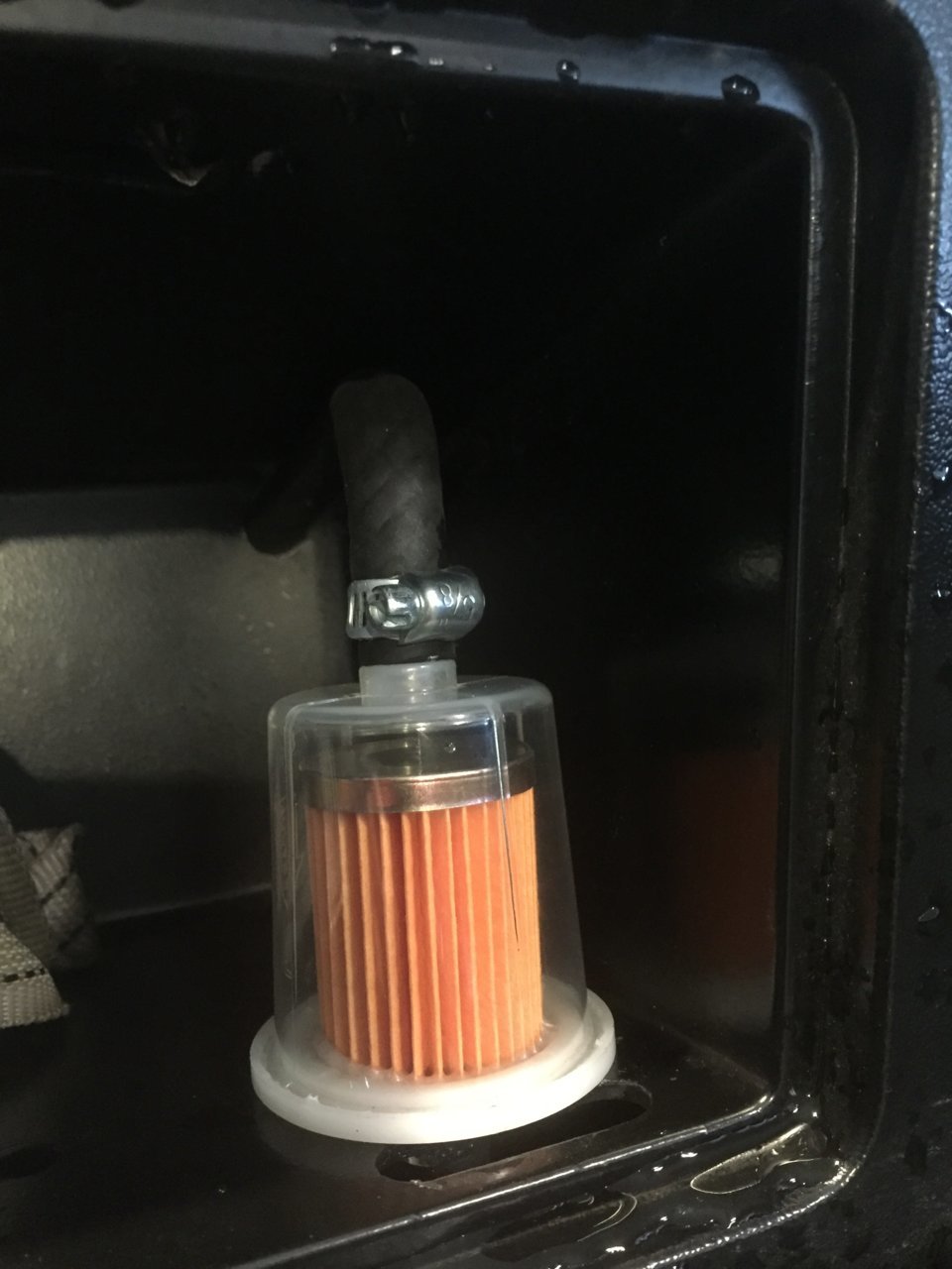 A27E292E-D418-4CBD-9239-52B5F7EEBA35.jpg