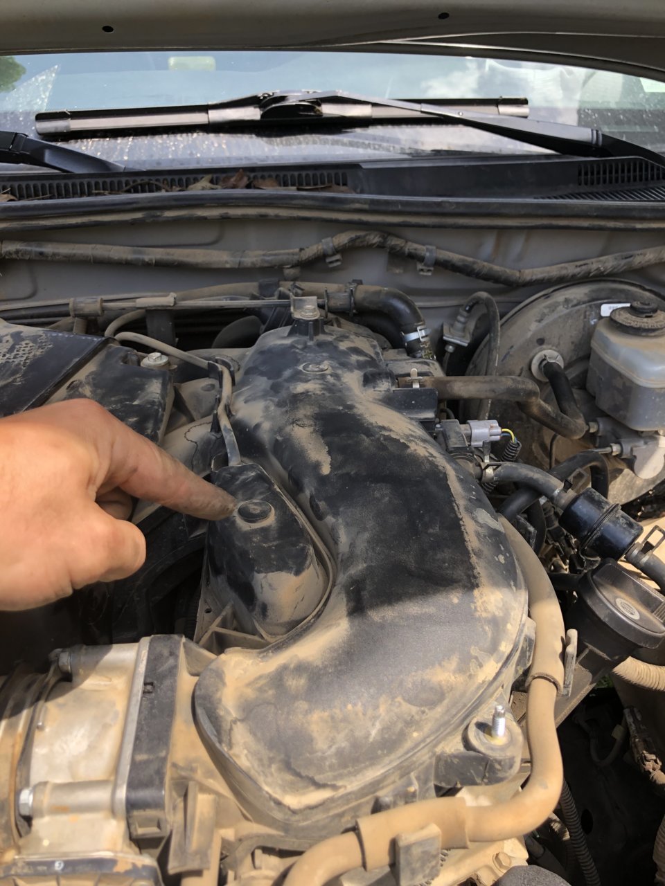 A2C54FA5-E46C-4512-B67E-4F884F064771.jpg