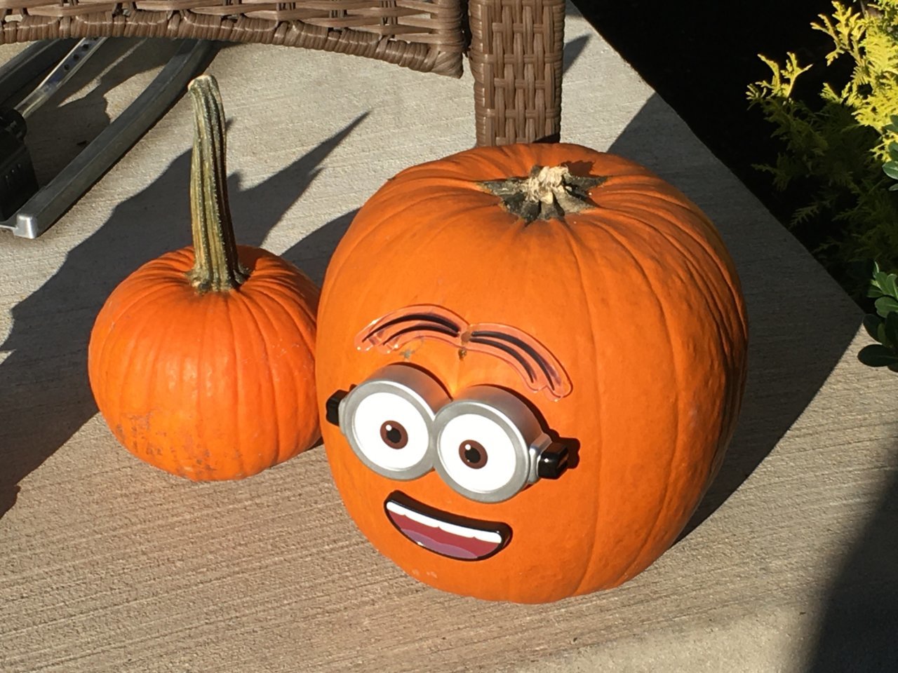 A34351E0-1F5E-4547-AD3D-4325CEE68ED7.jpg