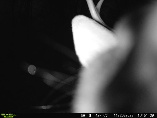 a350d8c0-ca83-4cce-9b2f-7011e846517e.jpg