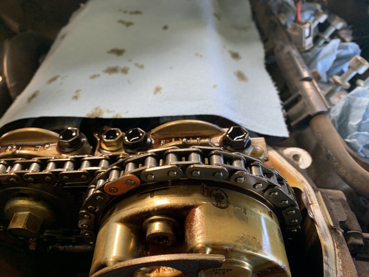 A369B2C7-31AA-48AF-9AF6-F16DB25F320A.jpg