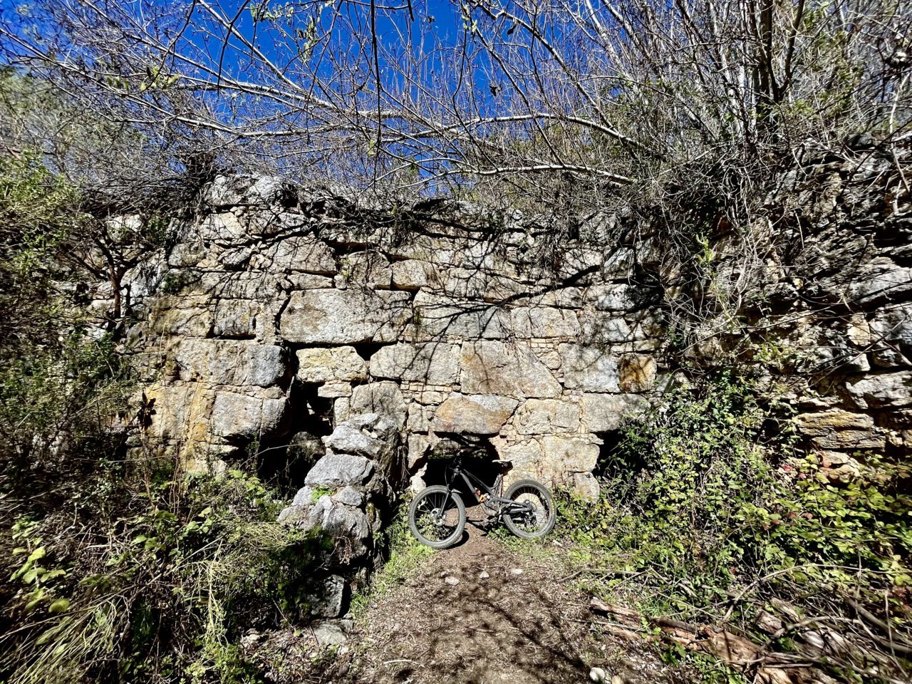 A36E36C5-DE29-475B-A743-95570E7D6A92.jpg