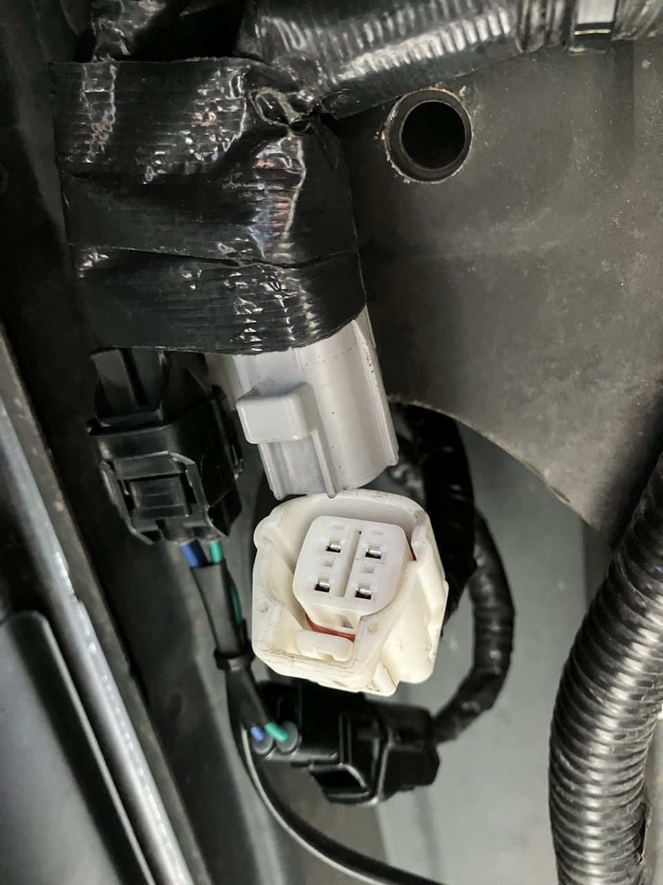 A3C561C5-9DF8-4DC0-A806-AC906C0ABA5C.jpg