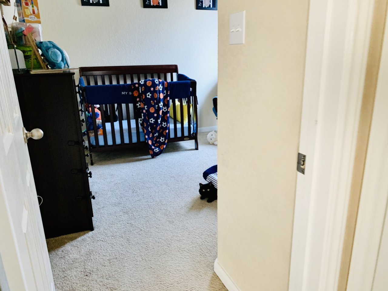 A3D0335D-06ED-48AC-B631-5504BD7FE43B.jpg