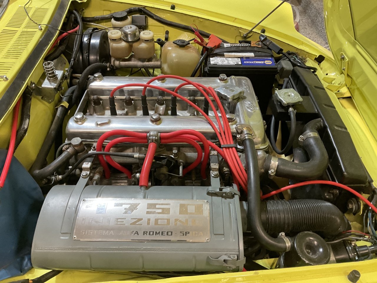 A3F384A3-53DE-4F7F-949A-24F26E49CF84.jpg
