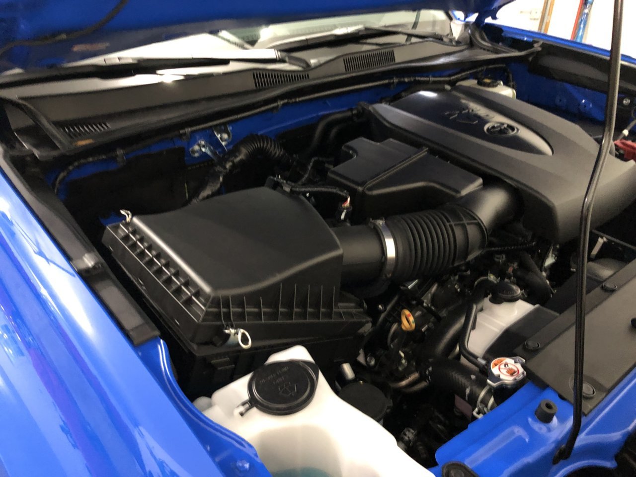 A4029BA5-14D3-4BF9-84B6-B64CB91E7FDF.jpg