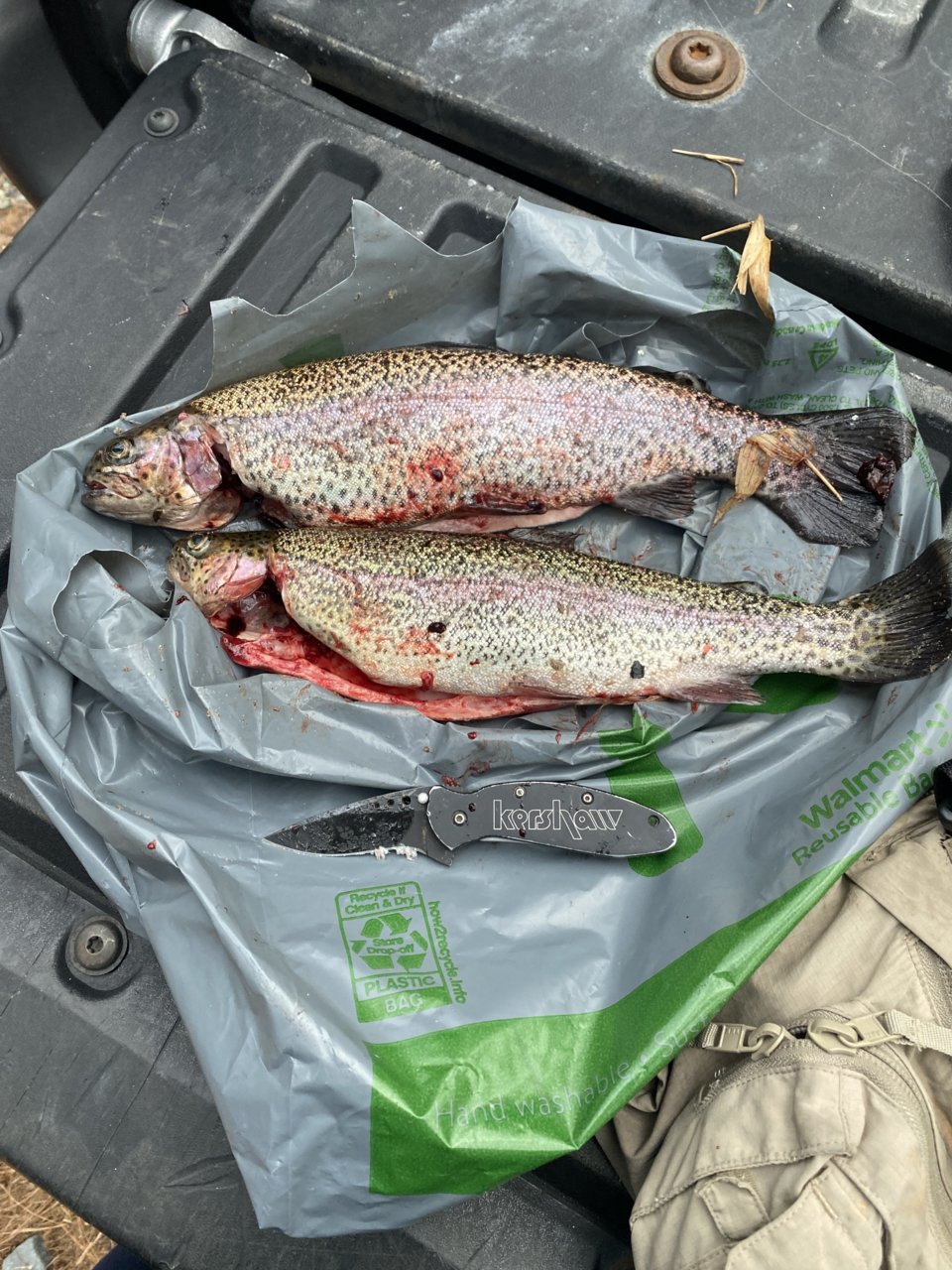 A40AC620-8F03-44C2-8769-D8EE90CAC5F8.jpg