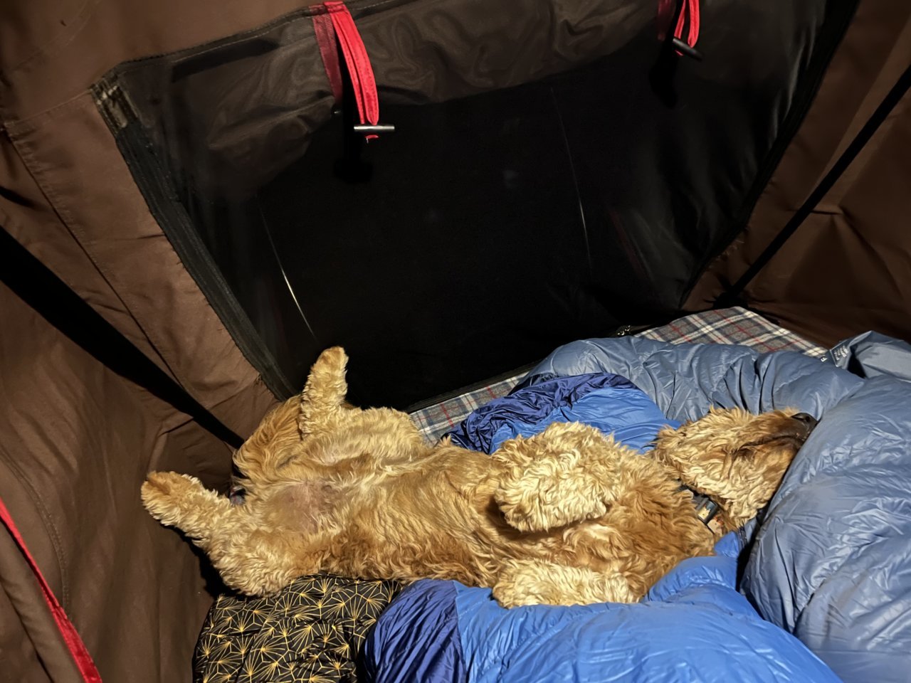 A44C6181-4D26-40E9-B5D2-737E187B70F4.jpg