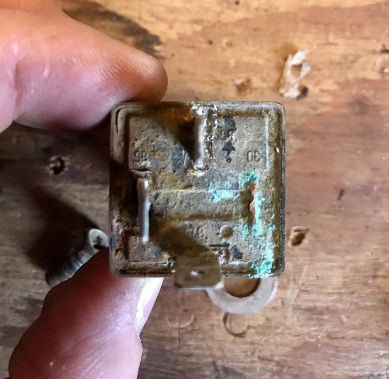 A461A24C-A158-436F-AEC0-178E13A8F562.jpg