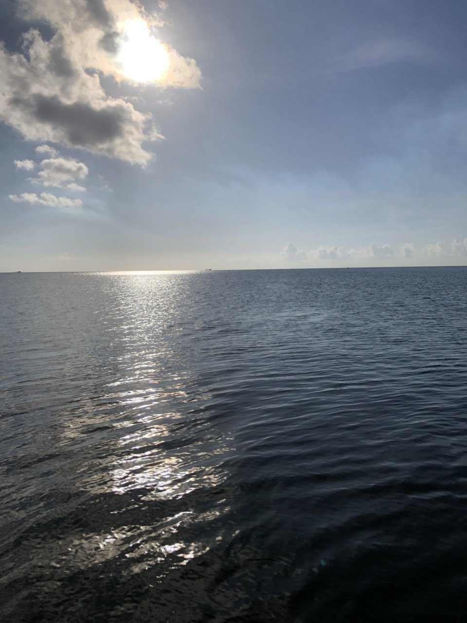 A48E63F2-E2BC-46C8-874E-E85F3E373C37.jpg