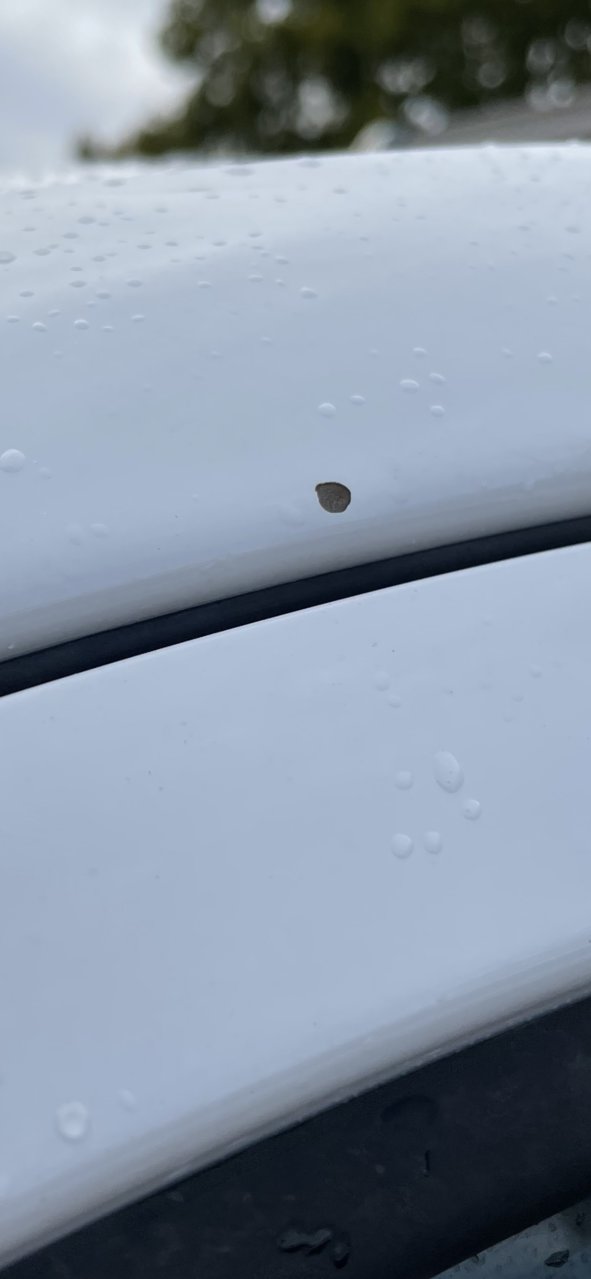 A49F4812-CA43-4C76-BEC6-0E3A2BF0E74A.jpg