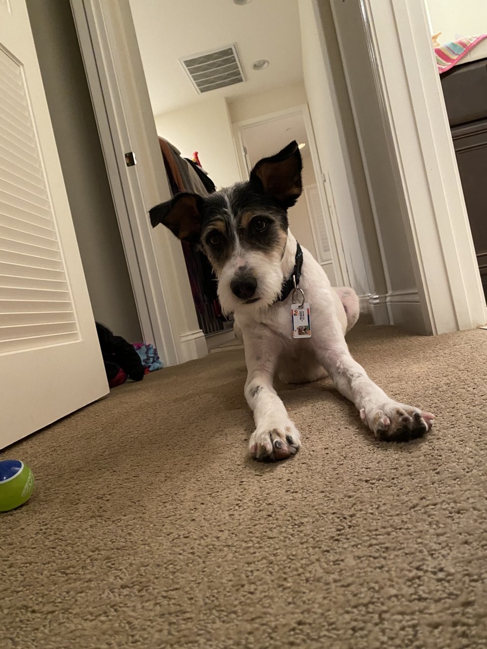 A4B622D1-0765-4699-8792-3F27090EB9D6.jpg