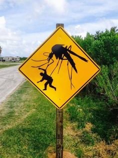 a4c8c020acec8236af25db09cddc07ad--mosquito-control-the-mosquito.jpg