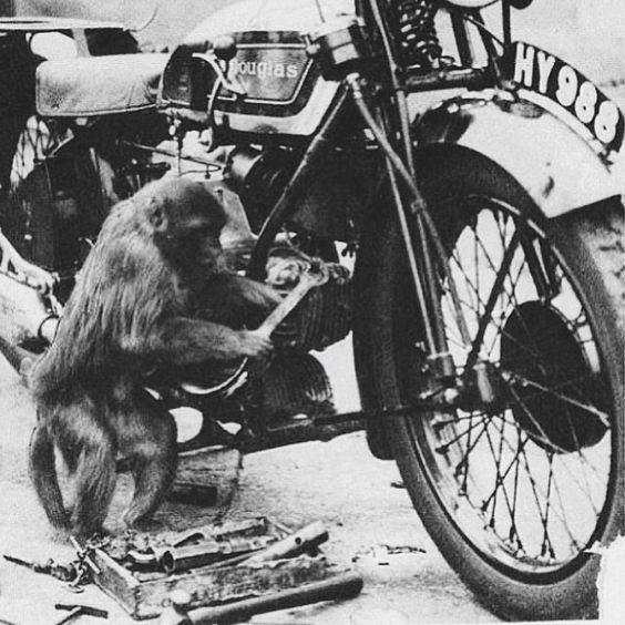 a4e81520231ee6836c41f3d6b6724fe3_motorcycle_mechanic_monkey_business.jpg