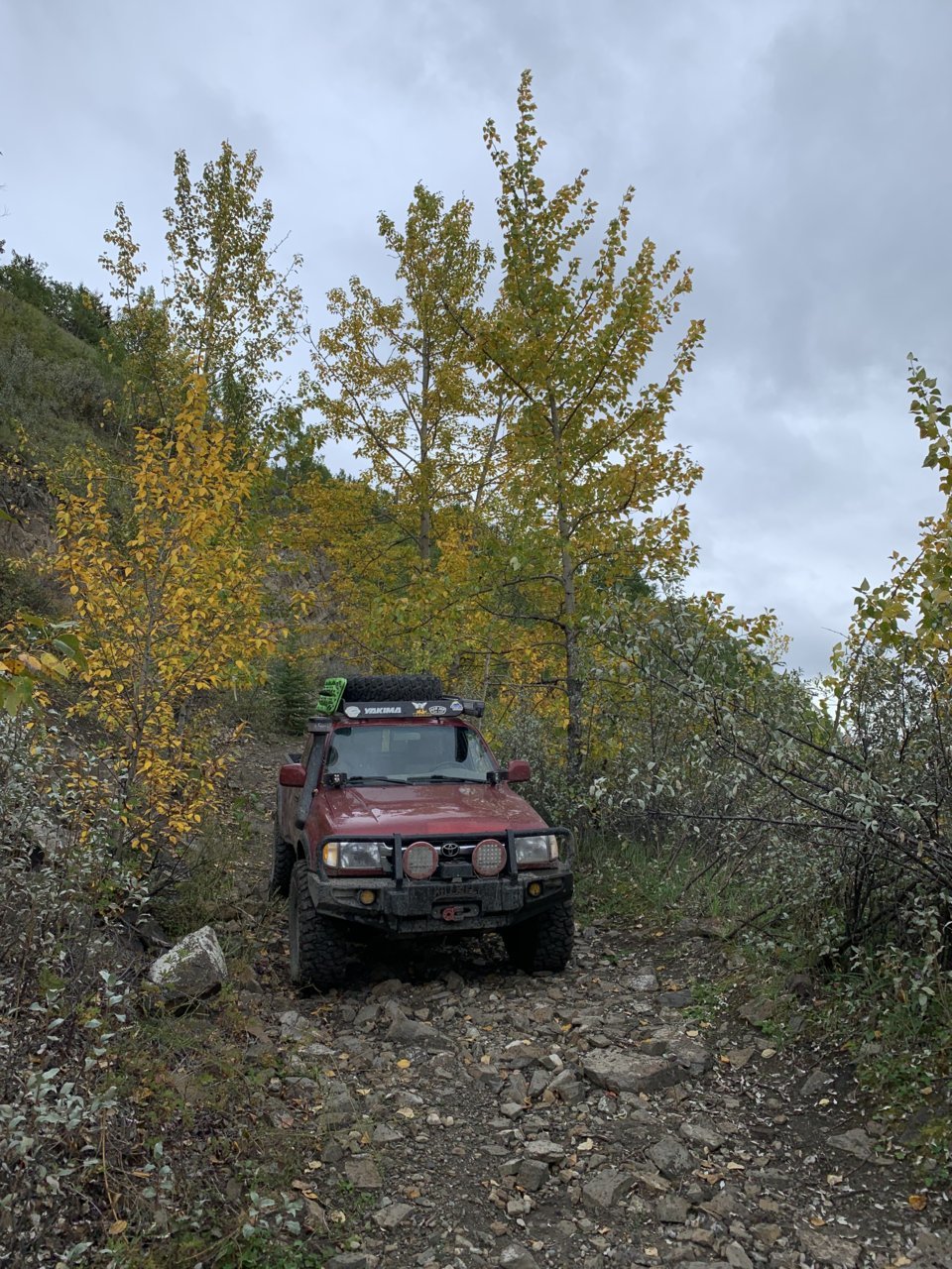 A5561AA2-EC23-460D-8080-4BE1367A9EB2.jpg