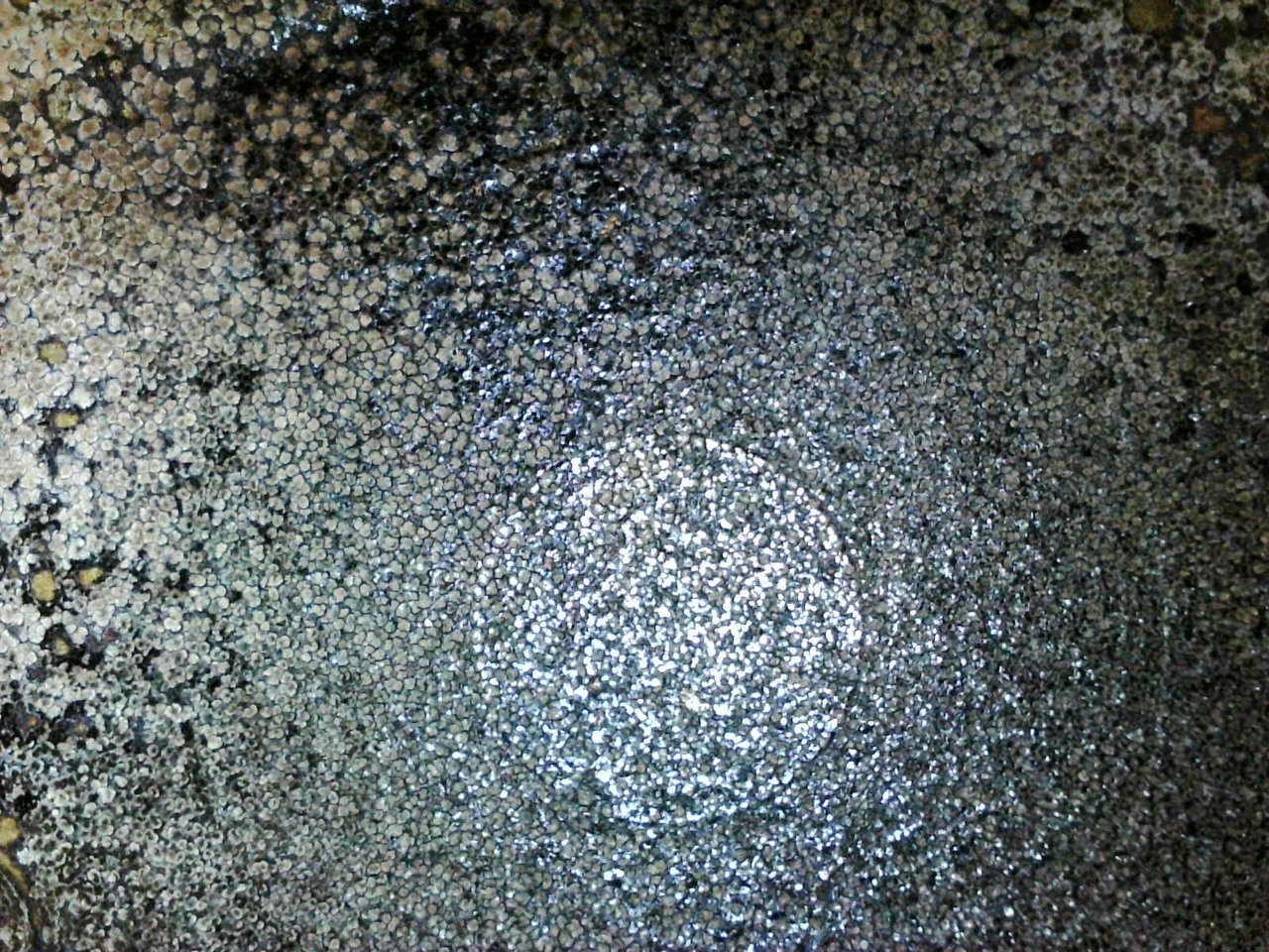 A5576C78-784E-4EA8-AA9A-145CC8C2AC0D.jpg