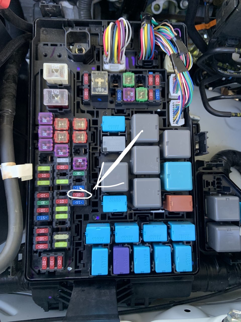 A56C2E24-6D82-4080-B48A-45970673477F.jpg