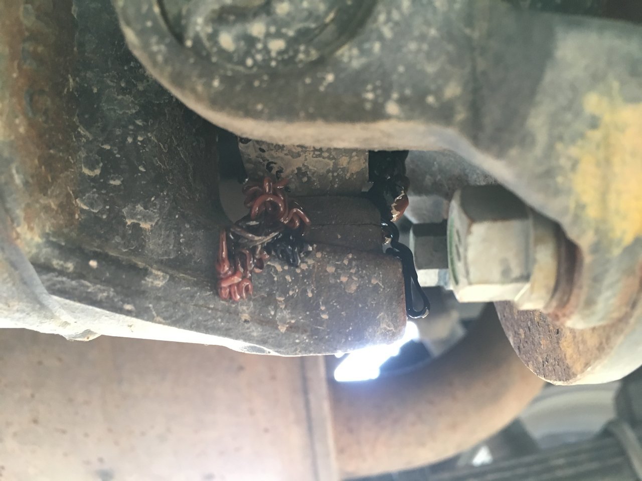 A5EE74EF-59CC-49F0-BFA1-7AD0CCAAB5D9.jpg