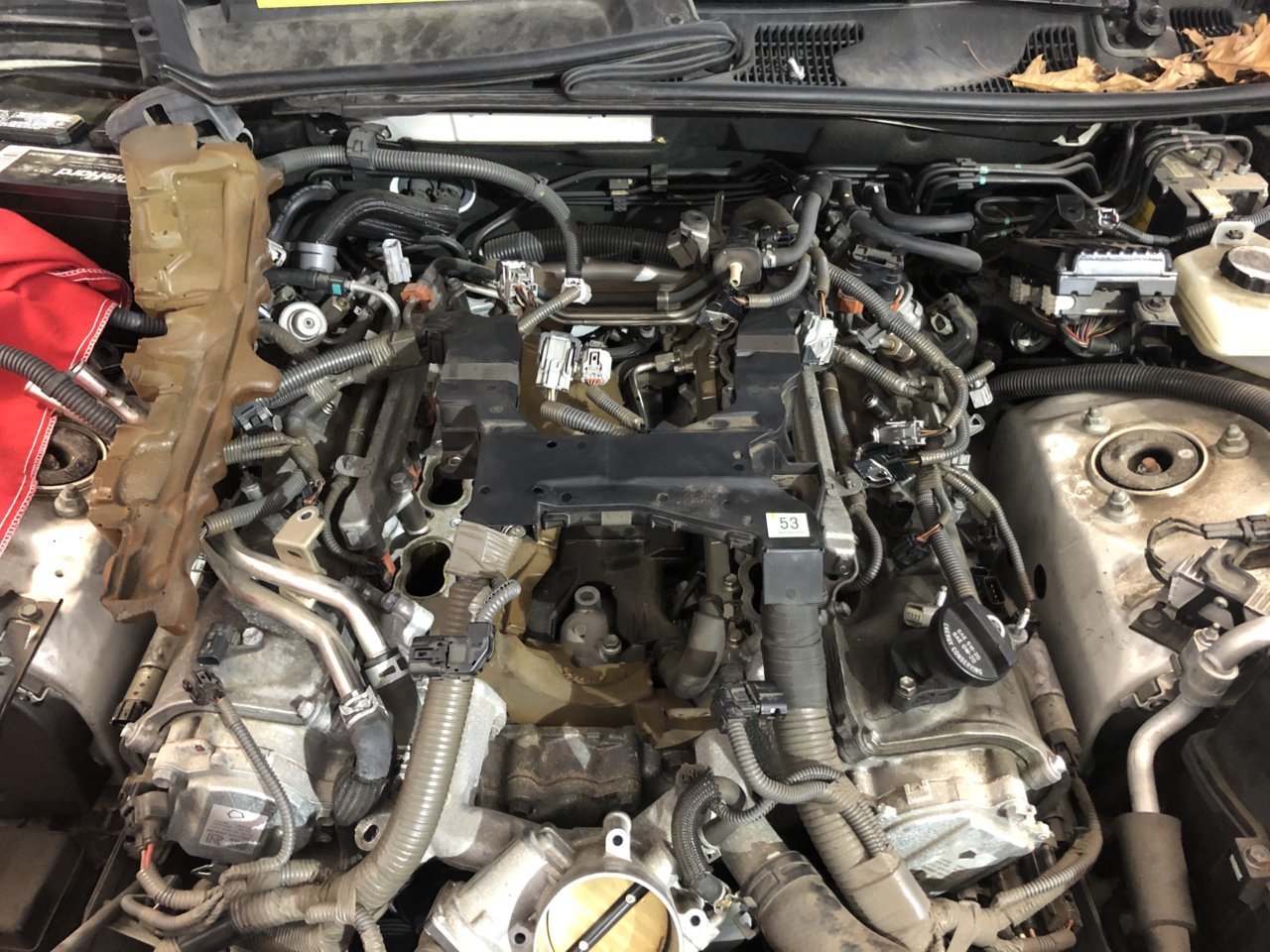 A62AC4D2-0394-4FCA-9B2B-FC99766AC8FC.jpg