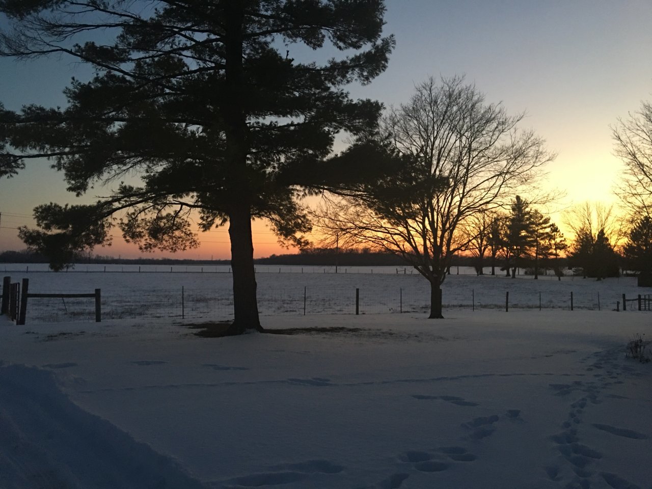 A63563E3-415D-4C63-B1C6-1512DB82CC9F.jpg
